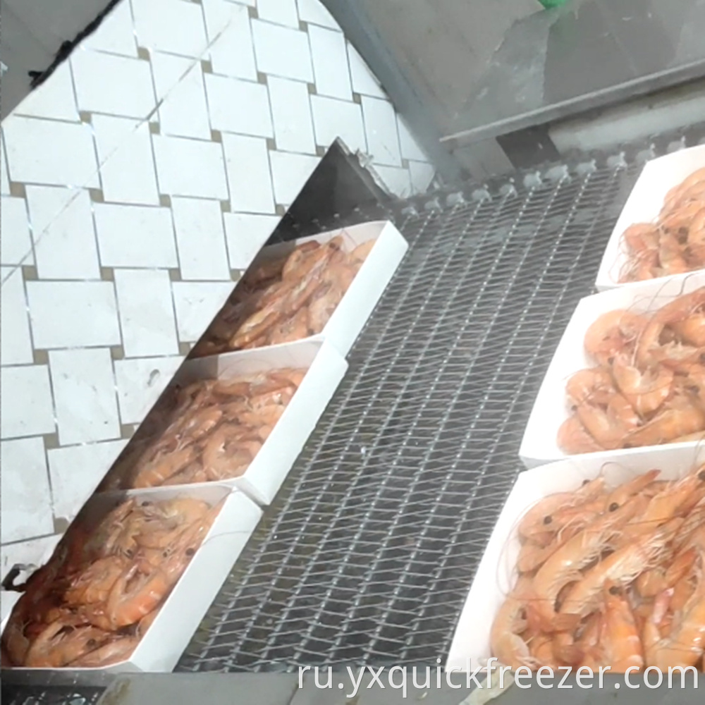 Inlet Of Spiral Freezer For Cooked Shrimp